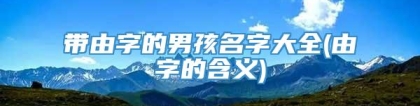 带由字的男孩名字大全(由字的含义)