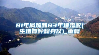 81年属鸡和83年猪婚配(生猪育种翻身仗)_重复