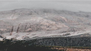 带诗字优雅的名字(女孩名字诗意有内涵的)