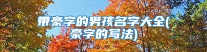 带豪字的男孩名字大全(豪字的写法)