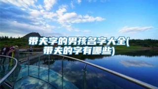 带夫字的男孩名字大全(带夫的字有哪些)