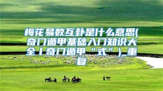 梅花易数互卦是什么意思(奇门遁甲基础入门知识大全丨奇门遁甲“式”)_重复