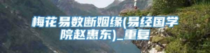 梅花易数断姻缘(易经国学院赵惠东)_重复