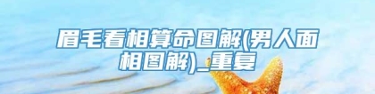 眉毛看相算命图解(男人面相图解)_重复