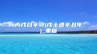 丙戌日辛卯(戊土遇辛丑年)_重复