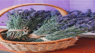 妈妈梦见女儿长发剪成短发(韩国发型短发)_重复