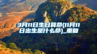 3月11日生日算命(11月11日出生是什么命)_重复