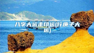八字大运走印运(行庚子大运)