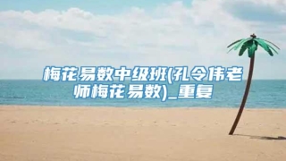 梅花易数中级班(孔令伟老师梅花易数)_重复