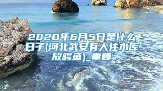 2020年6月5日是什么日子(河北武安有人往水库放鳄鱼)_重复