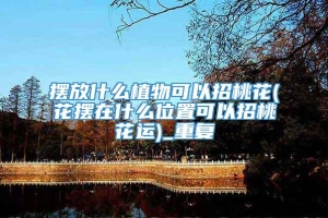 摆放什么植物可以招桃花(花摆在什么位置可以招桃花运)_重复