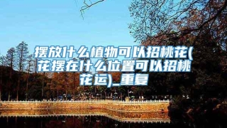 摆放什么植物可以招桃花(花摆在什么位置可以招桃花运)_重复