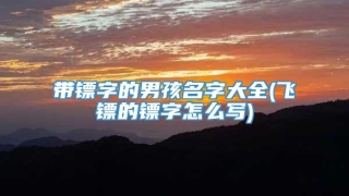 带镖字的男孩名字大全(飞镖的镖字怎么写)