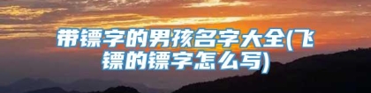 带镖字的男孩名字大全(飞镖的镖字怎么写)