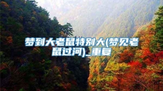 梦到大老鼠特别大(梦见老鼠过河)_重复