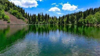 《梅花易数》的千古秘密是什么?