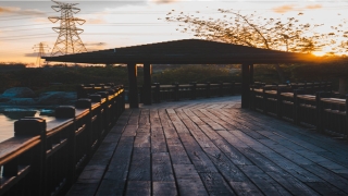 带瑾字的女孩高雅名字(带有瑾字的浪漫的诗句)