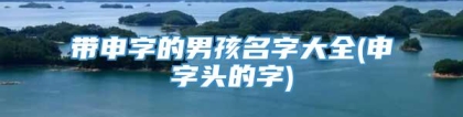 带申字的男孩名字大全(申字头的字)