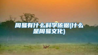 周易有什么科学依据(什么是周易文化)