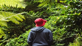 畜牧养殖公司起名大全(农作物起名)