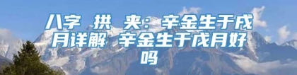 八字 拱 夹：辛金生于戌月详解 辛金生于戊月好吗