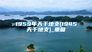 1959年天干地支(1945天干地支)_重复