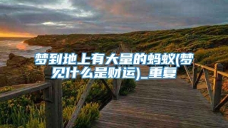 梦到地上有大量的蚂蚁(梦见什么是财运)_重复