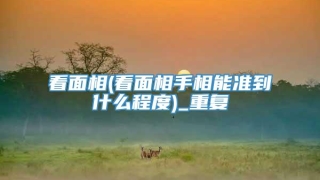 看面相(看面相手相能准到什么程度)_重复