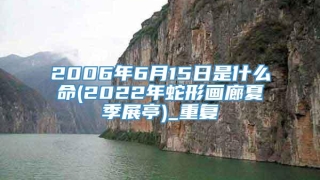2006年6月15日是什么命(2022年蛇形画廊夏季展亭)_重复