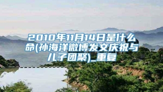 2010年11月14日是什么命(孙海洋微博发文庆祝与儿子团聚)_重复