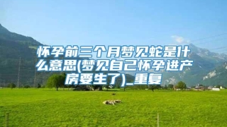 怀孕前三个月梦见蛇是什么意思(梦见自己怀孕进产房要生了)_重复