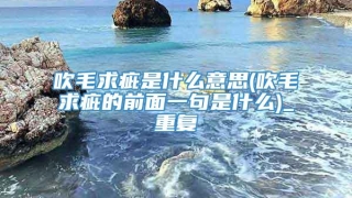 吹毛求疵是什么意思(吹毛求疵的前面一句是什么)_重复