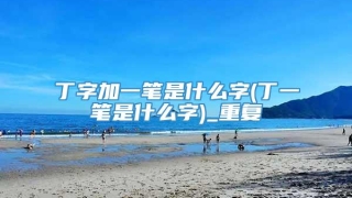 丁字加一笔是什么字(丁一笔是什么字)_重复