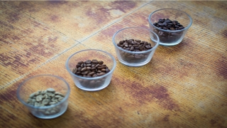 2001年的人适合工作行业(2001年女今年运势怎么样)_重复