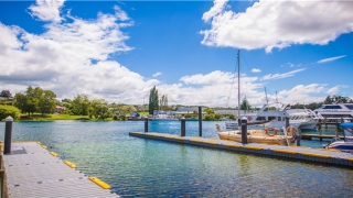 经常梦见自己会飞(做梦梦到自己在飞翔)