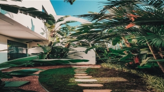 54岁是哪一年出生的属什么(泰康在线副总裁丁峻峰是女高管今年54岁)_重复