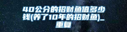 40公分的招财鱼值多少钱(养了10年的招财鱼)_重复