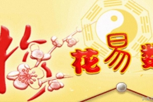 梅花易数饮食篇详解(为什么叫梅花易数)