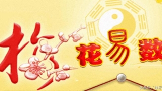 梅花易数饮食篇详解(为什么叫梅花易数)