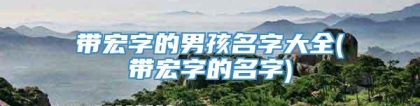 带宏字的男孩名字大全(带宏字的名字)