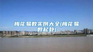 梅花易数实例大全(梅花易数起卦)