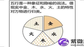 男涧下水命和什么命相配(水命的男人)