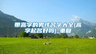 带嵩字的男孩名字大全(嵩字起名好吗)_重复