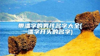 带潘字的男孩名字大全(潘字开头的名字)