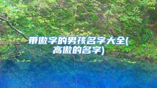 带傲字的男孩名字大全(高傲的名字)