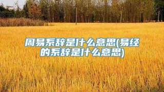 周易系辞是什么意思(易经的系辞是什么意思)