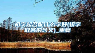 初字起名配什么字好(初字取名的含义)_重复