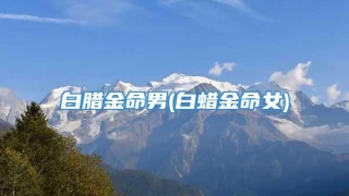 白腊金命男(白蜡金命女)