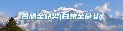 白腊金命男(白蜡金命女)