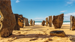 额头高的人好不好(鼻额角一般为多少度)